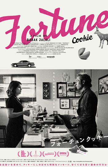 フォーチュンクッキー